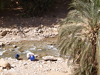 Todra Gorge