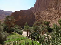 Todra Gorge